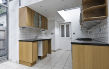 Ballygawley kitchen extension leads